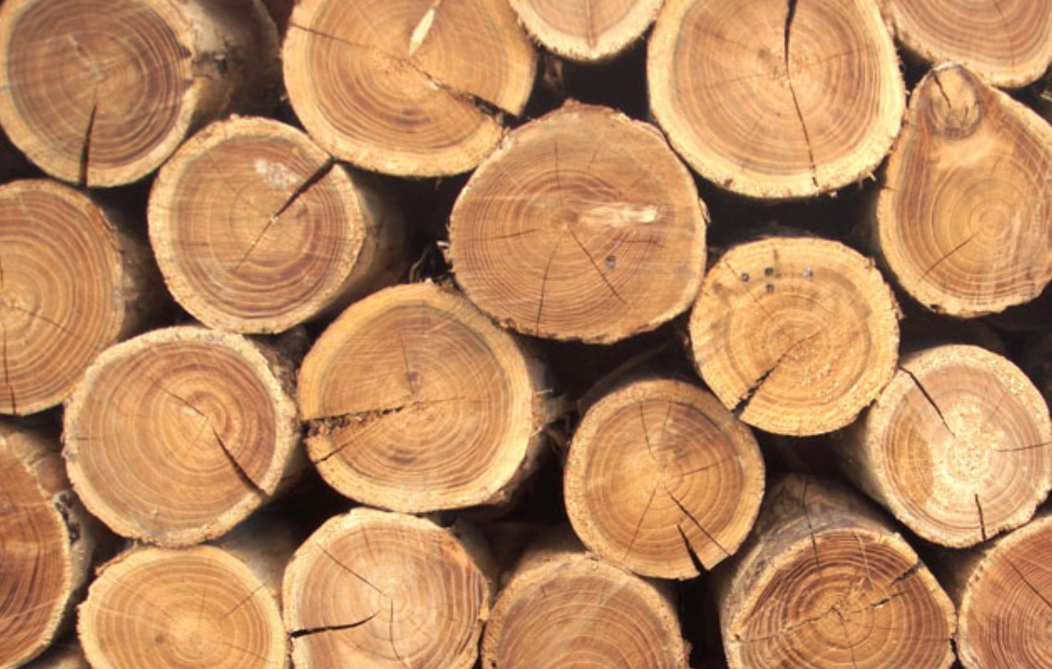 Открытие деревообрабатывающего цеха